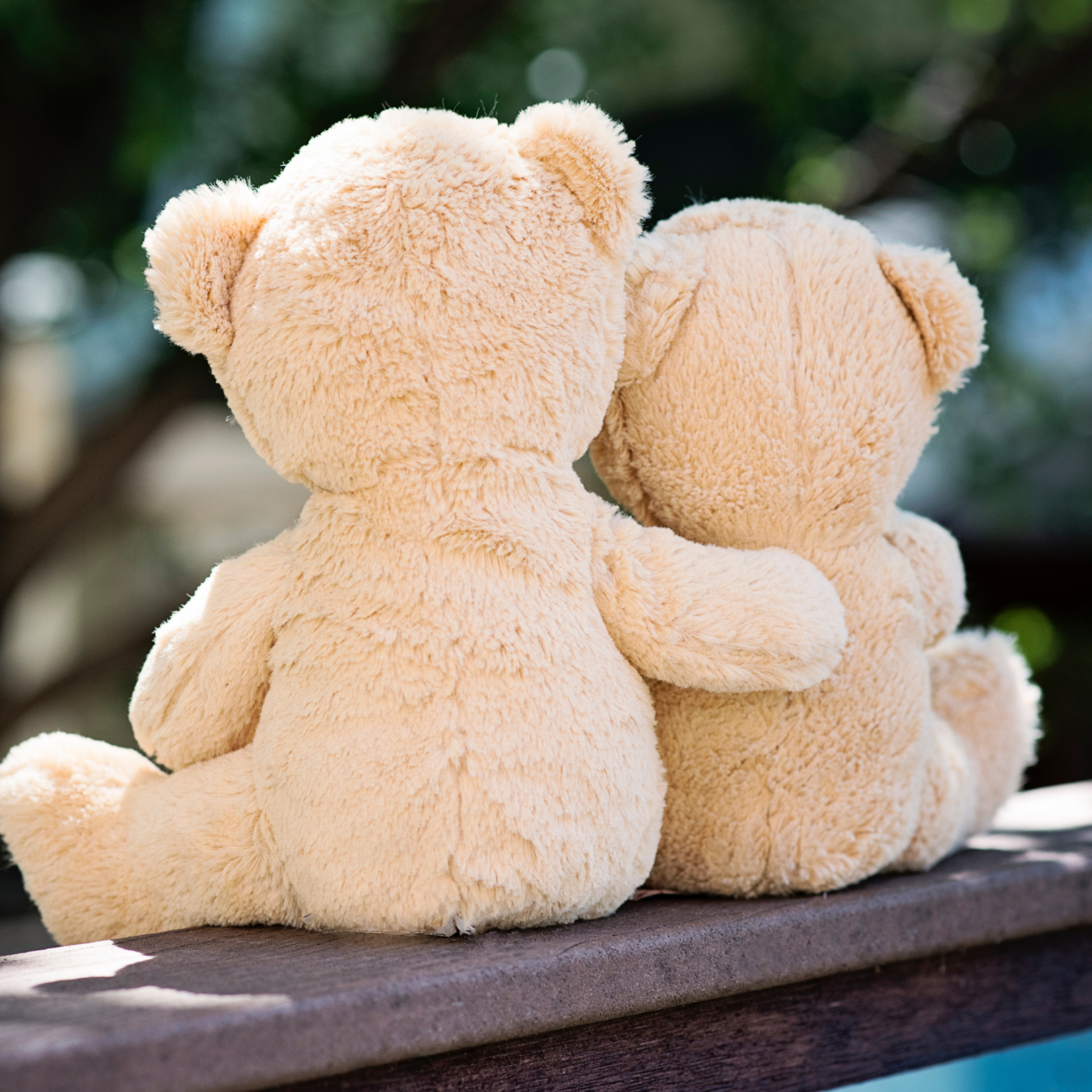 In jedem Verhalten steckt ein Bedürfnis - Kinder mit herausforderndem Verhalten bedürfnisorientiert begleiten